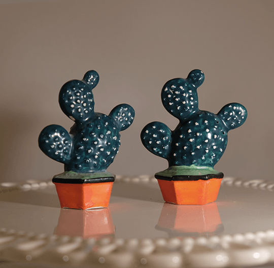 KASP_CactusPots2_F_540x528
