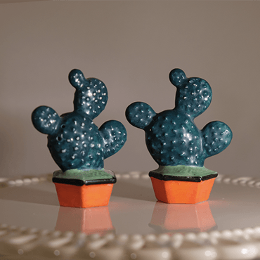 Cactus Pots