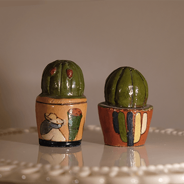 Cactus Pots