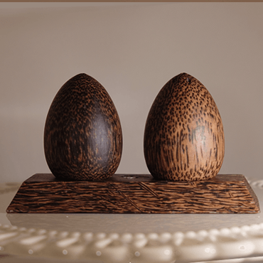 Wooden Eggs