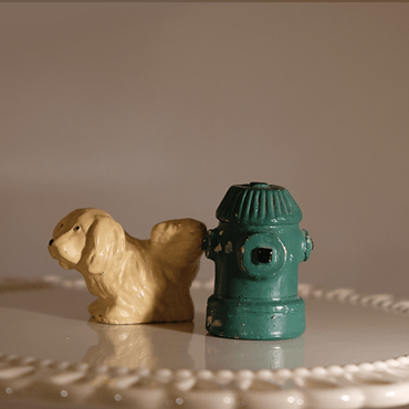 Antique Dog and Hydrant