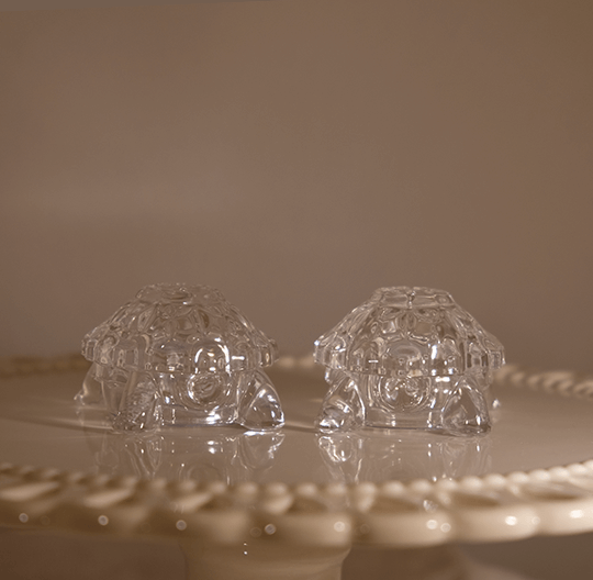 KASP_Turtles_B_540x528