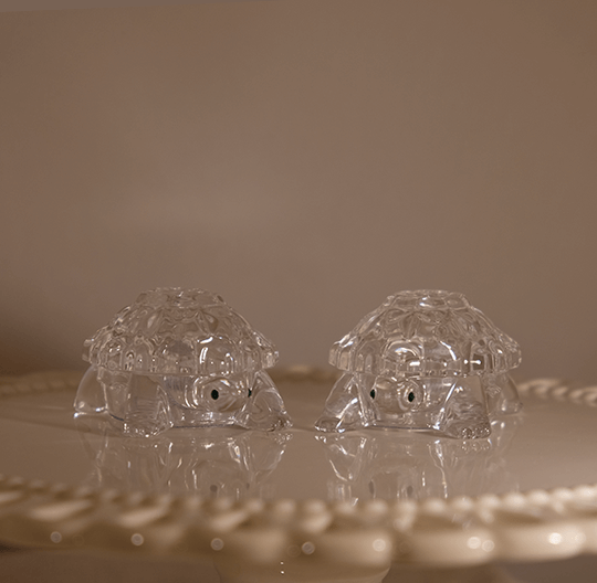 KASP_Turtles_F_540x528