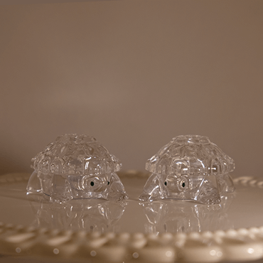 Crystal Turtles
